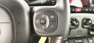 FIAT Panda usata 49