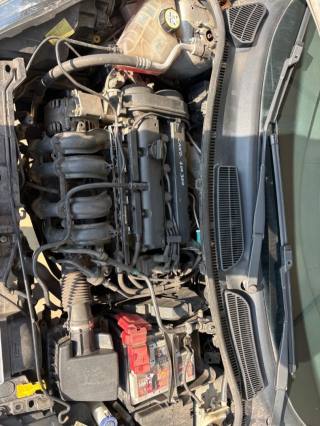FORD Fiesta usata, con Vetri oscurati
