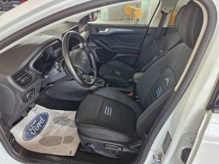 FORD Focus usata, con Fendinebbia