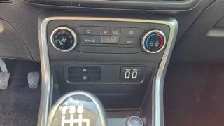FORD EcoSport usata, con Airbag testa