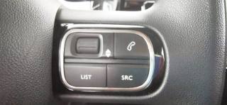 CITROEN C3 usata 39