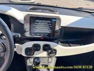 FIAT Panda usata, con Cruise Control