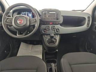 FIAT Panda usata, con Cruise Control