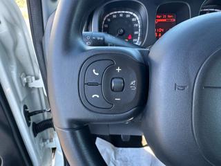 FIAT Panda usata 53