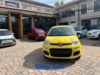 FIAT Pandina usata, con Controllo trazione