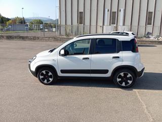 FIAT Panda Cross usata, con Alzacristalli elettrici