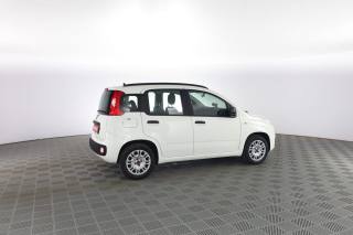 FIAT Panda usata 2