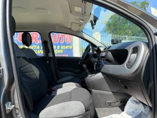 FIAT Panda usata 23