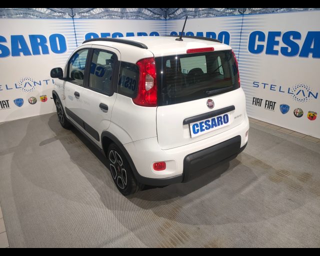 FIAT New Panda usata, con Alzacristalli elettrici