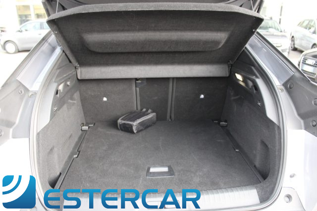 PEUGEOT 3008 usata, con Sedile posteriore sdoppiato