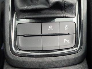 SKODA Kamiq usata, con Specchietti laterali elettrici