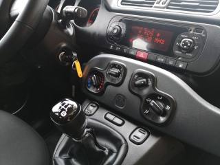 FIAT Panda usata 19