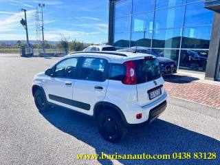 FIAT Panda usata, con Alzacristalli elettrici