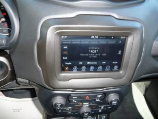 JEEP Renegade usata, con Cronologia tagliandi