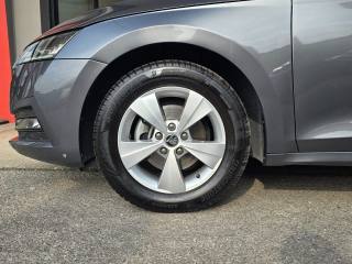 SKODA Octavia usata 128