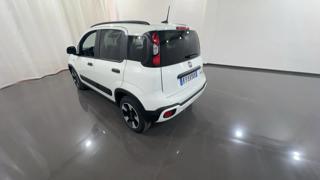 FIAT Panda Cross usata, con Alzacristalli elettrici