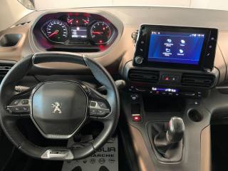 PEUGEOT Rifter usata, con Vetri oscurati