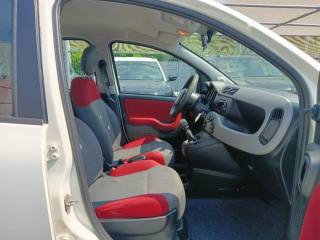 FIAT Panda usata 17