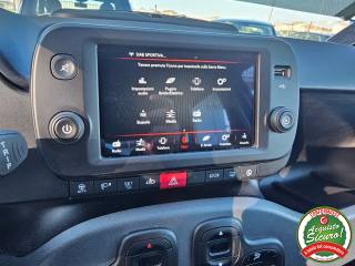 FIAT Panda Cross usata, con Fendinebbia
