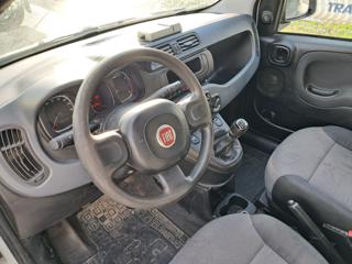 FIAT Panda usata, con Immobilizzatore elettronico