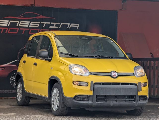 FIAT Panda usata, con Airbag Passeggero