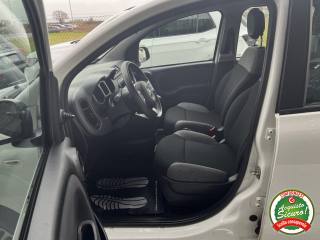 FIAT Panda usata, con Cronologia tagliandi