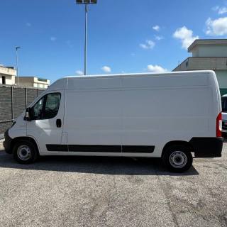 FIAT  usata 5
