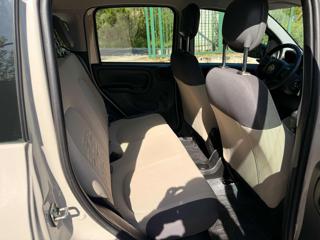 FIAT Panda usata, con Chiusura centralizzata