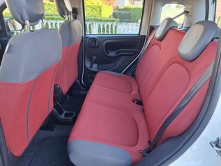 FIAT Panda usata 52