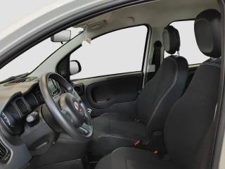 FIAT Panda usata 12