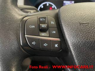 FORD Tourneo Custom usata 18