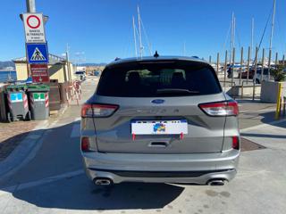 FORD Kuga usata, con Airbag testa