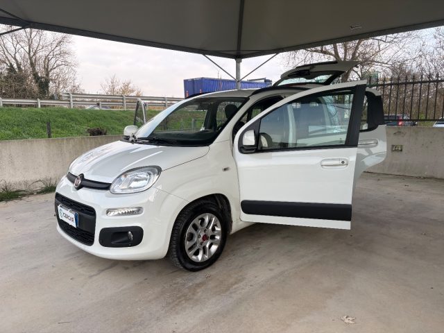 FIAT Panda usata 39