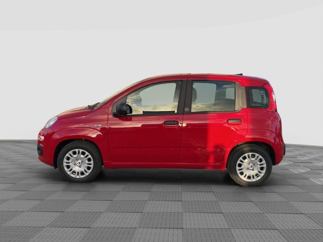 FIAT Pandina usata 1