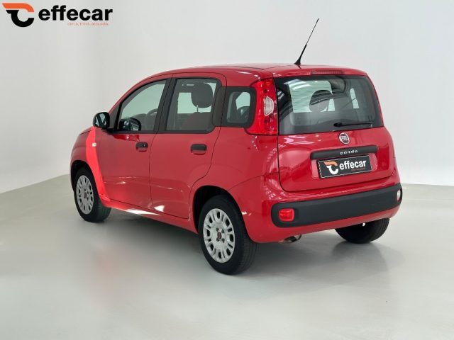 FIAT Panda usata, con Alzacristalli elettrici