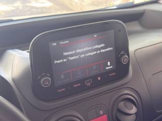 FIAT Fiorino usata, con Bracciolo