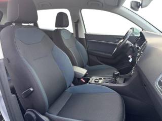 SEAT Ateca usata, con Cruise Control