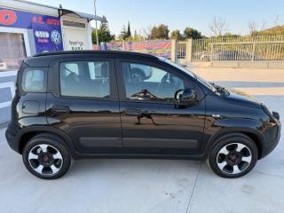 FIAT Panda Cross usata, con Antifurto