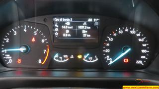 FORD Fiesta usata 52