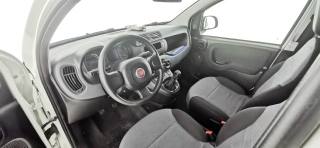 FIAT Panda usata, con Immobilizzatore elettronico