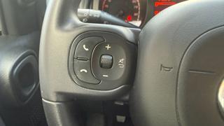 FIAT Panda usata, con Antifurto