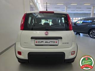 FIAT Panda usata, con Climatizzatore