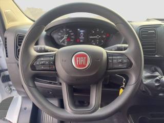 FIAT Ducato usata 10