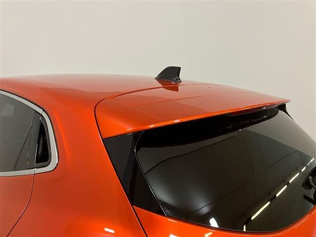 RENAULT Clio usata 28