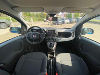 FIAT Panda Cross usata 28