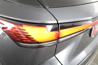 LEXUS RX 450h usata 10