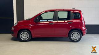FIAT Panda usata, con Airbag Passeggero