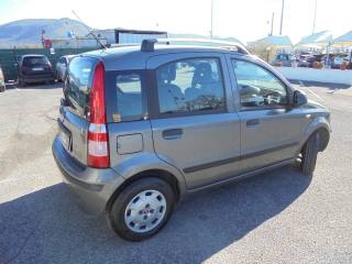 FIAT Panda usata 10