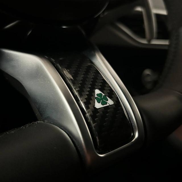 ALFA ROMEO Stelvio usata, con Park Distance Control