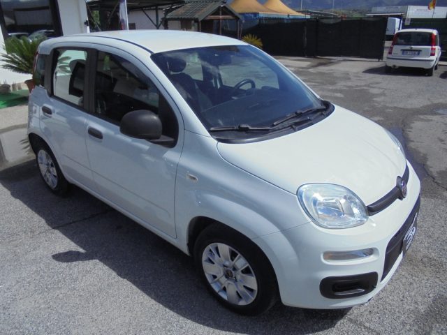 FIAT Panda usata 14